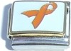 Ribbon in Orange