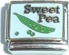 Sweet Pea Italian Charm