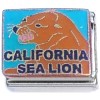 CT6762 California Sea Lion Brown Italian Charm