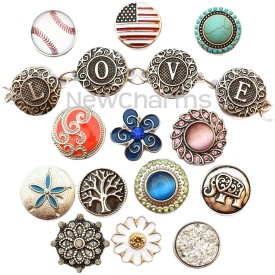 Snap Charms and Snap Jewelry