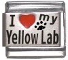 I Love my Yellow Lab