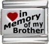 In Memory of my Brother