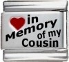In Memory of my Cousin