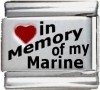 In Memory of my Marine