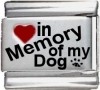 In Memory of my Dog