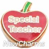 H1143 Special Teacher On Red Apple Floating Locket Charm