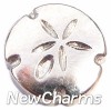 H1252silver Sanddollar in Silver Floating Locket Charm