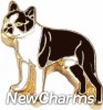 H1451 Boston Terrier Dog Floating Locket Charm