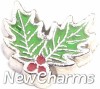 H4511 Holly Floating Locket Charm