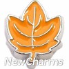 H7662 Leaf Floating Locket Charm