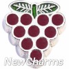 H7880 Colorful Grapes Floating Locket Charm