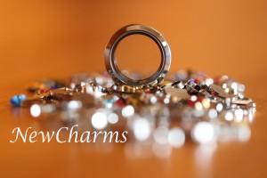 H8354 North Pole Floating Locket Charm