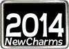 R10444 2014 Photo Floating Locket Charm