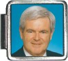 Newt Gingrich Italian Charm