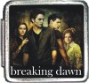 breaking dawn group Custom Photo Italian  Charm