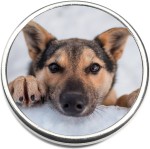 Dog Photo Snap Charm