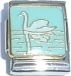Swan