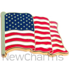P502 Pin USA Flag Waving Goldtone Trim