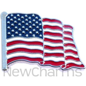 P503 Pin USA Flag Waving Silvertone Trim