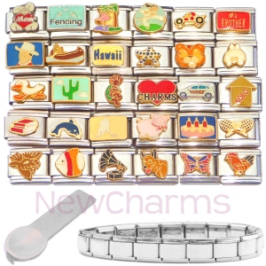 MIX107=60 Enamel Charms