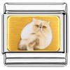CT1122 White Cat Face Italian Charm