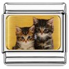 CT1308 Kitten Pair Italian Charm
