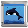 CT1403 Killer Whale Italian Charm