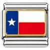 CT1599 Flag of Texas Italian Charm