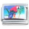 CT3009 Colorful Tropical Parrot Bird Italian Charm