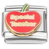 CT3225 Special Teacher Italian Charm