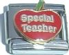 CT3225 Special Teacher Italian Charm