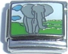 CT3304k Elephant Black Outline Italian Charm