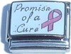 CT3940 Promise of a Cure Italian Charm