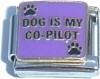CT4204 Dog Is My Co-Pilot Italian Charm