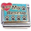 CT6743 Luv My Rescue Dog or Cat on Blue Italian Charma