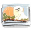 CT7021 Cute Maltese Puppy Dog Italian Charm