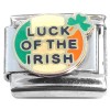 CT7044 Luck of the Irish Italian Charm