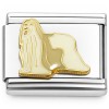 CT7727 Afghan Hound Puppy Dog Italian Charm