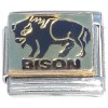 CT8083 Bison Picture Italian Charm