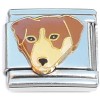 CT8171 Brown White Jack Russell Puppy Dog Italian Charm