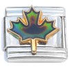CT8251 Maple Leaf Color Changing Mood Italian Charm