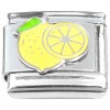 CT8421 Slice of Lemon Fruit Italian Charm