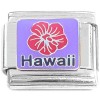 CT8467 Red Tropical Flower Hawaii Purple Italian Charm