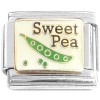 CT8384 Cute Avocado and Pit Italian Charm