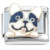 CT8720 Boxer Puppy Baby Dog Italian Charm