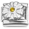 CT8868 Flower Shiny Amber Bling Italian Charm