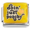 CT8949 Doing Just Peachy Italian Charm