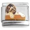 CT9928 Cute Dog Face and Paws Italian Charm