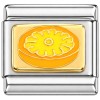 T3149orange Orange Slice Fruit Italian Charm