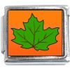 CT9434 Leaf on Orange Photo Italian Charm